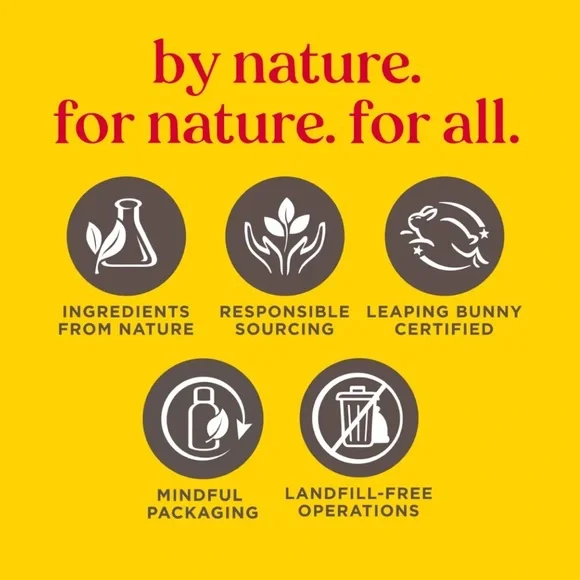 Burt’s Bees Lip Balms - Assorted 4 Pack Set - Picture 12 of 16